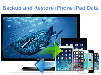 backup restore iphone data