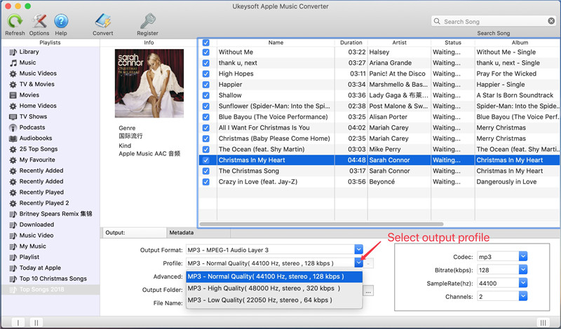 select mp3 output format