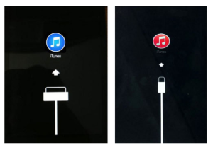 connect iphone to itunes