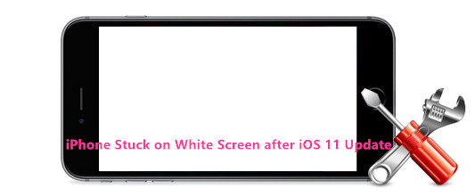 iphone auf weißem Bildschirm fest