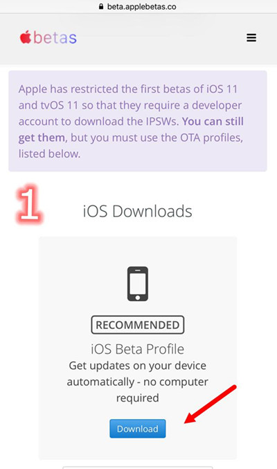 install ios11 beta iphone