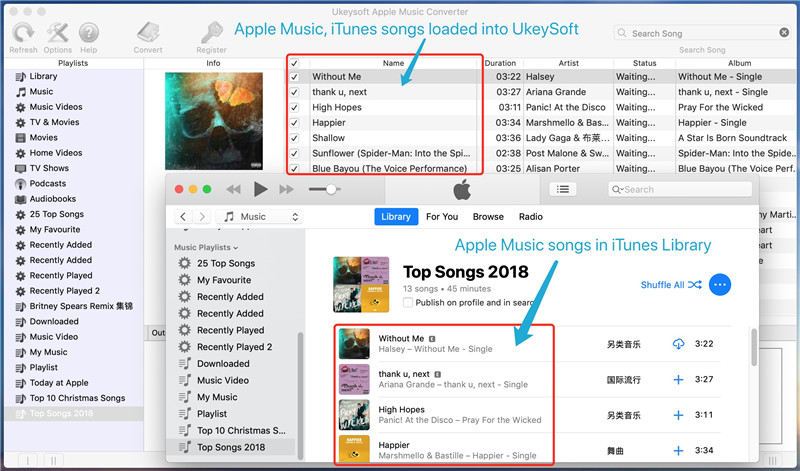 lancer apple music converter