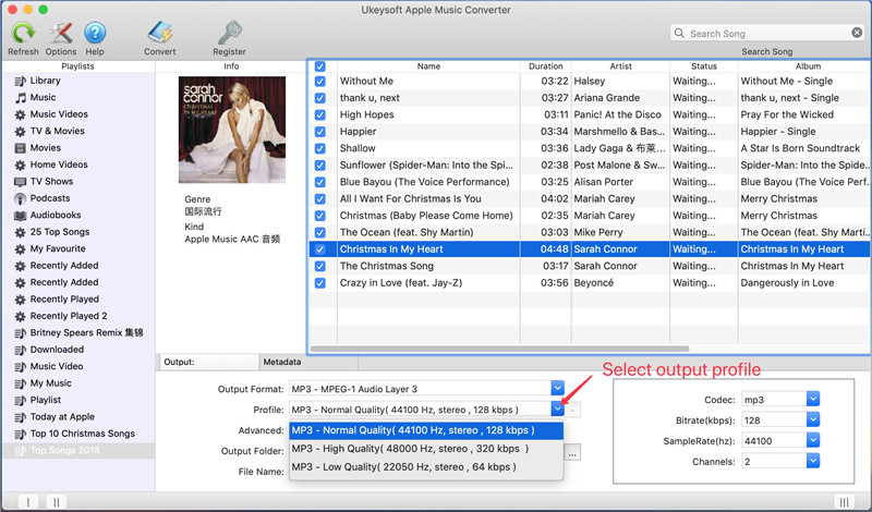 select mp3 output profile