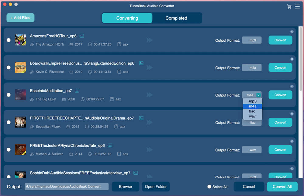 tunesbank audible converter supports format