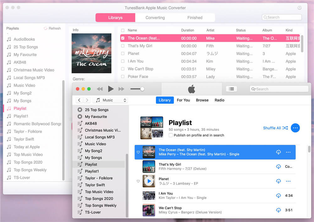 launch apple music converter