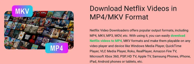 download netflix to mp4