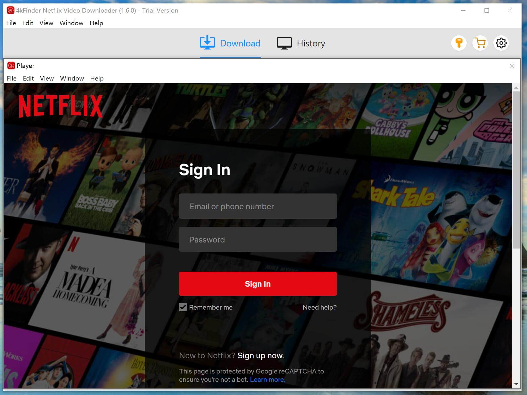 login netflix account