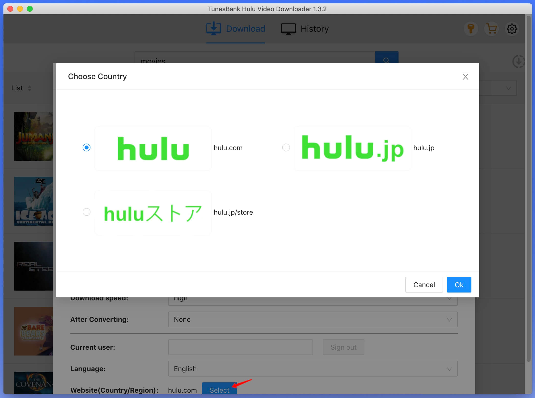 Wählen Sie die Hulu-Site aus
